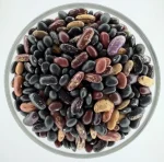 Mixed-Beans1