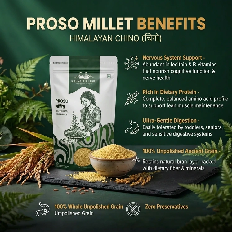 Proso Millet (चिनो) - Health Benefits